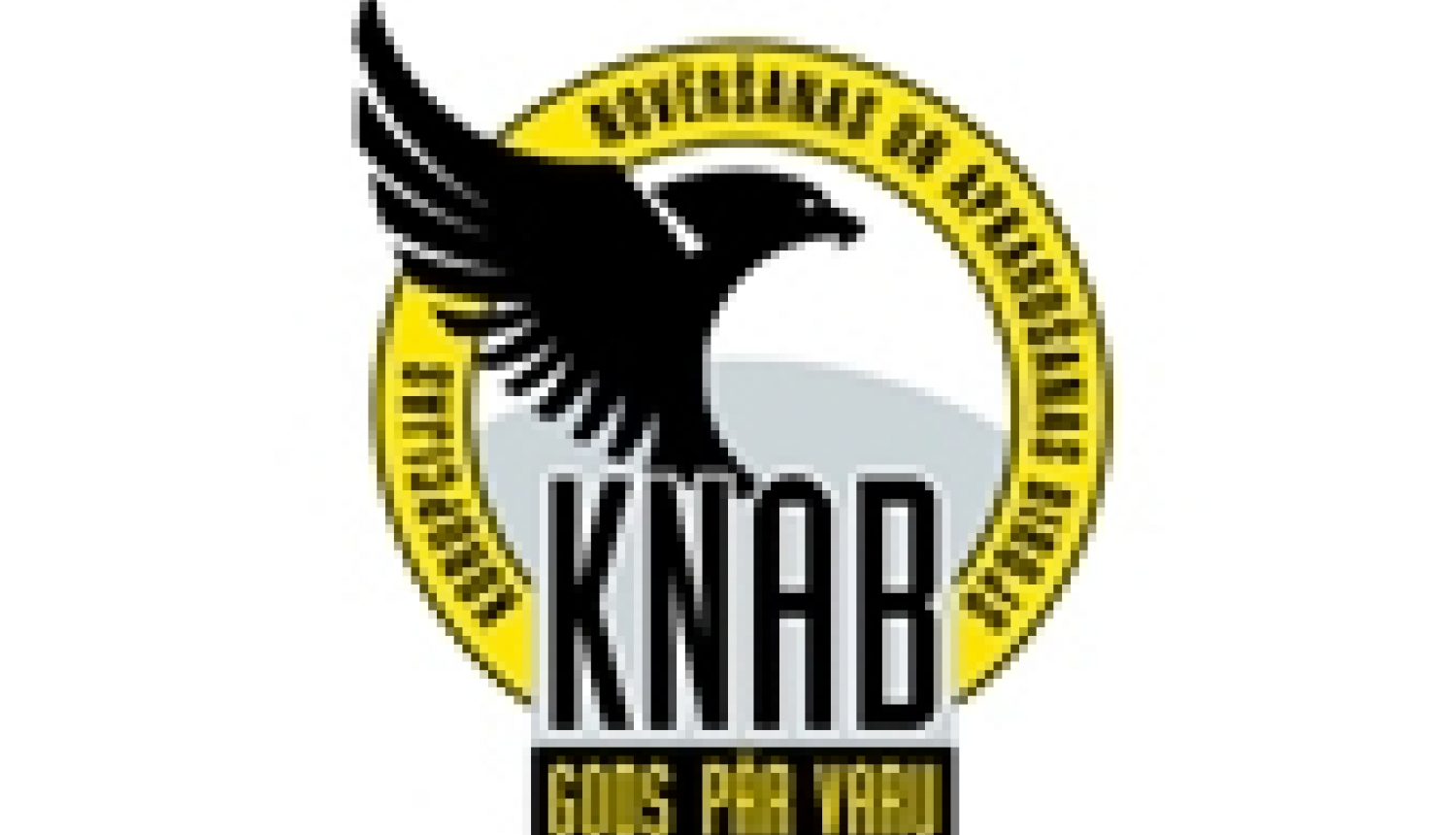 KNAB informē, ka valsts noslēpuma objekta nozaudēšanas fakts nav noticis