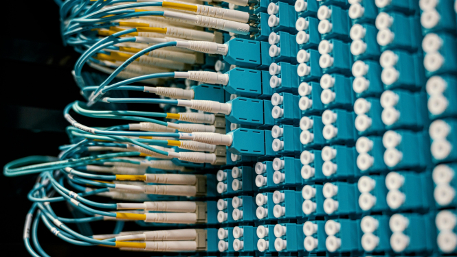 Vairāki tīkla kabeļu bloki. Daļā no tiem iesprausti vadi.