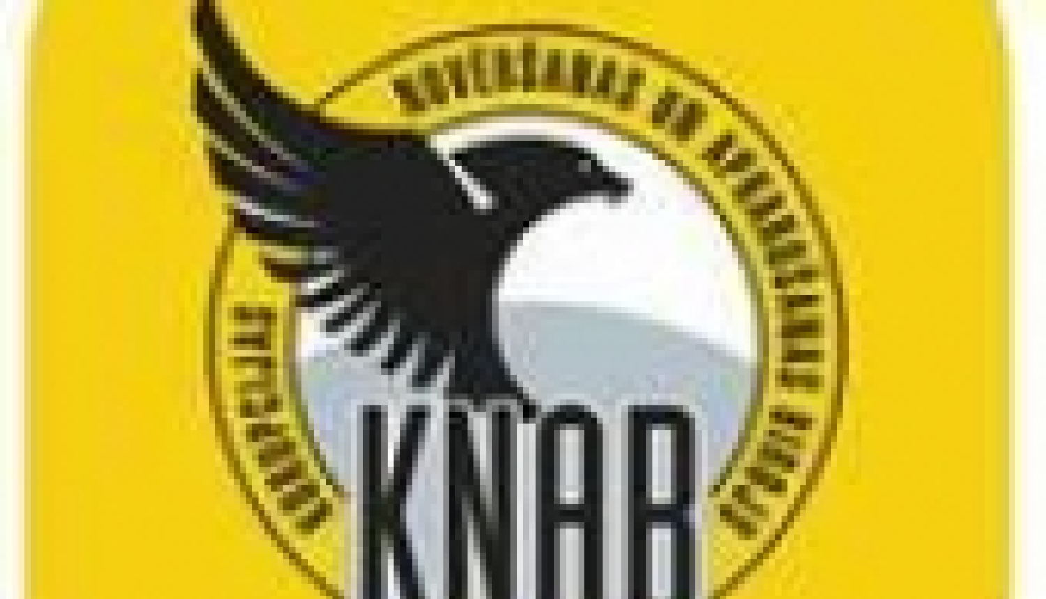 Iedzīvotāji arvien aktīvāk lieto mobilo lietotni “Ziņo KNAB!”